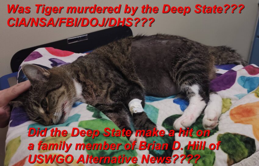 did-the-deep-state-murder-tiger-hill